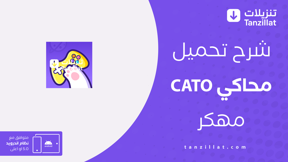 cato مهكر