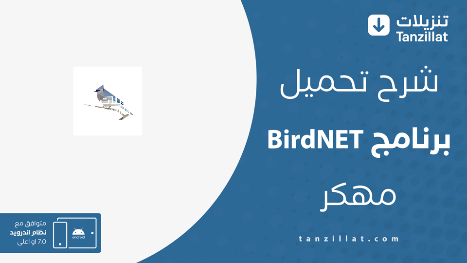 BirdNET مهكر