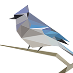 تحميل BirdNET app free