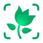 تنزيل تطبيق picturethis