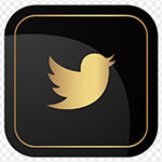 تحميل تطبيق Twitter Gold